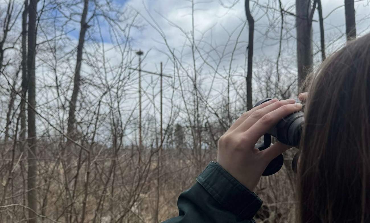 birding in the Mad River Valley